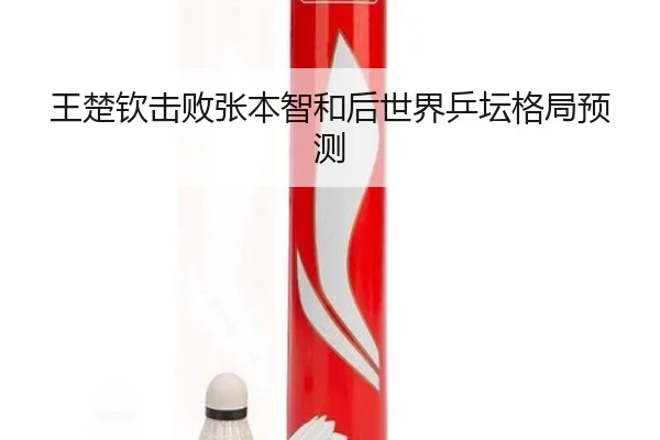 王楚钦击败张本智和后世界乒坛格局预测 | NG28